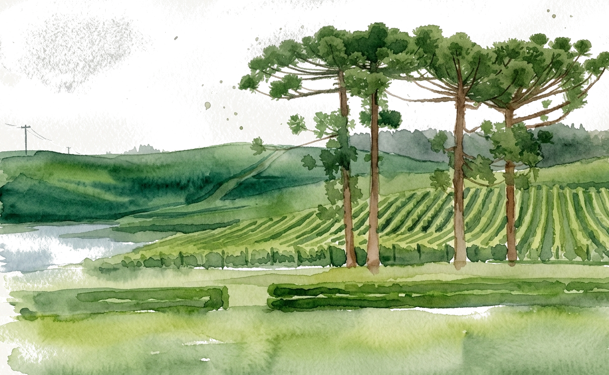 Vinícola Luiz Argenta